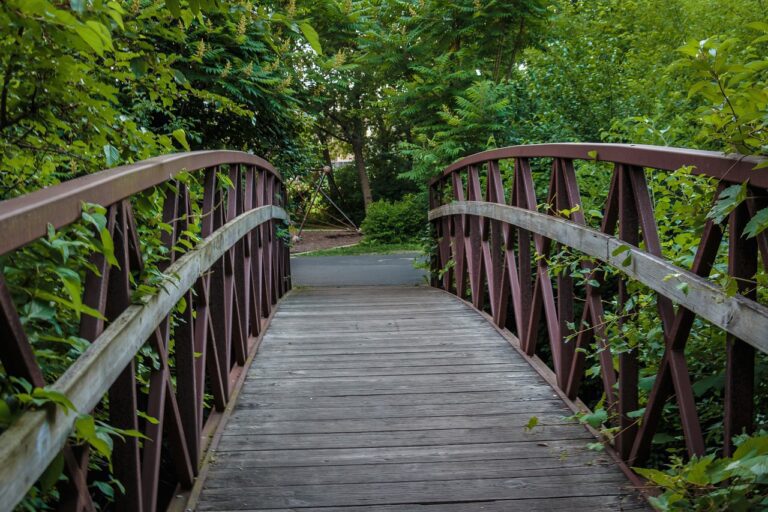 Qué funciones y servicios ofrece la Oficina de Caminos y Puentes Federales 30 puente sobre un paisaje natural