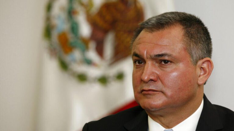 Quién fue el secretario de seguridad durante el gobierno de Peña Nieto 22 retrato del secretario de seguridad mexicano