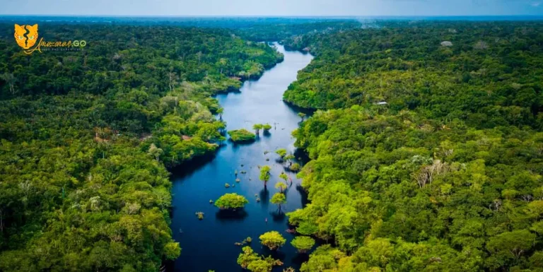 Cómo se llama el rÃo más largo del mundo y dónde se encuentra 23 rio amazonas en un paisaje natural exuberante