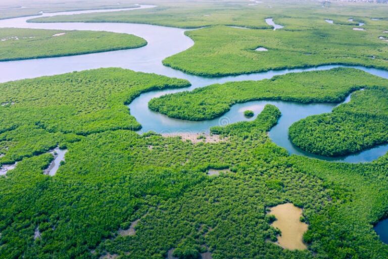 Cuál es el río más extenso del mundo y dónde se encuentra 29 rio amazonas visto desde arriba
