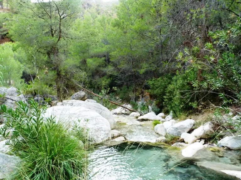 rio con vado natural y vegetacion