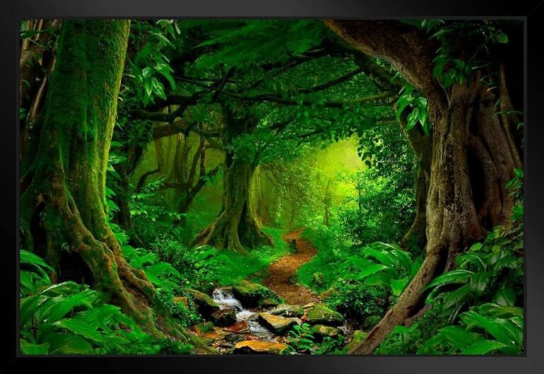 selva tropical exuberante y verde