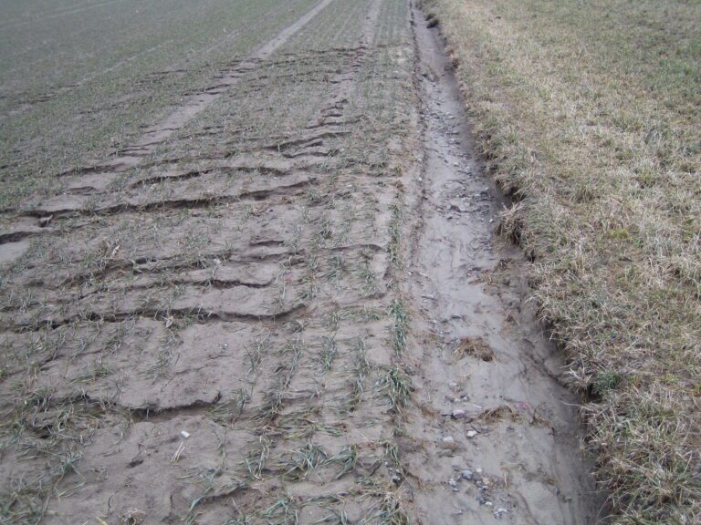 Qué son la erosión hídrica y eólica del suelo y cómo afectan al ambiente 3 suelo desgastado por erosion hidrica y eolica