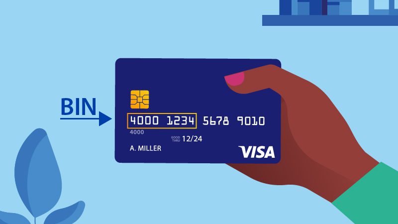 Por qué el número BIN no está disponible o no existe 4 Por qué el número BIN no está disponible o no existe