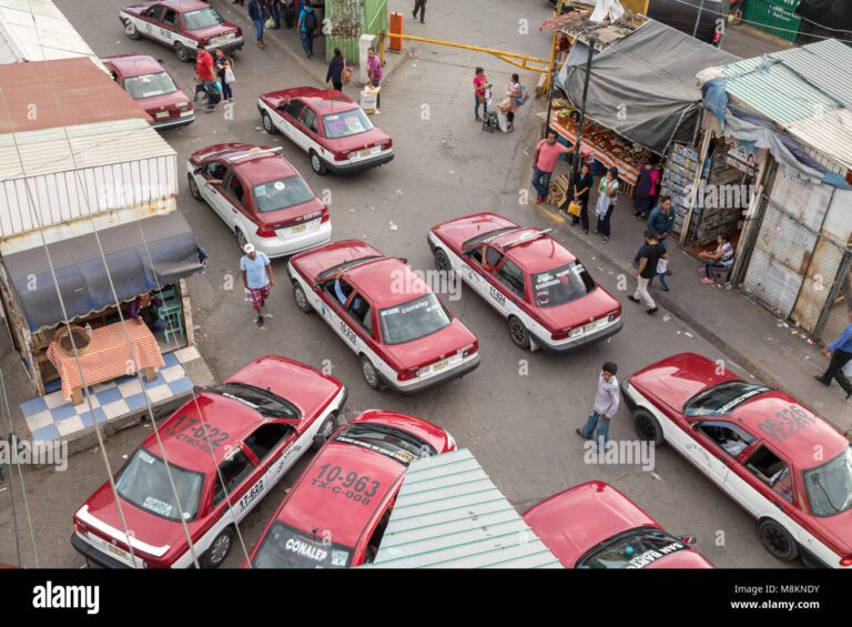 Qué hacer si recibà una multa por taxi colectivo en México 5 taxi colectivo en mexico en accion
