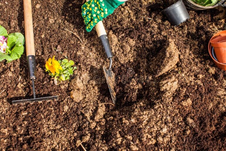 tierra fertil con herramientas de jardineria