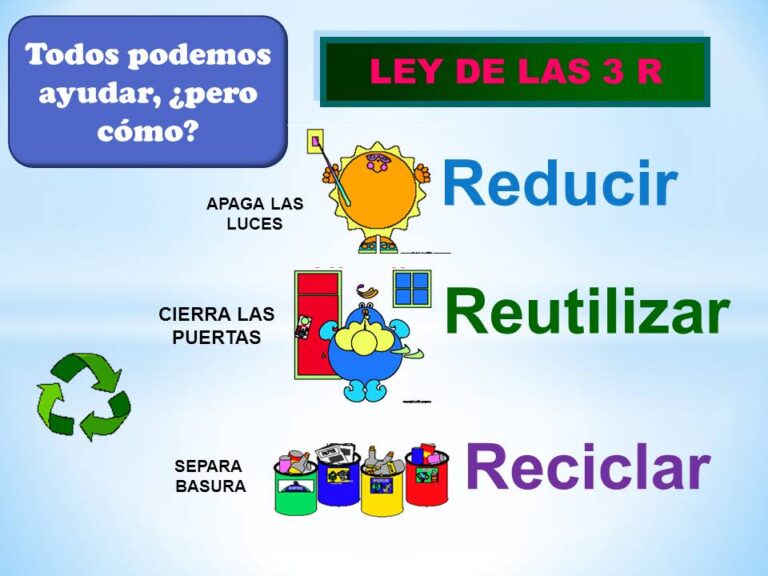 tres r del reciclaje en accion
