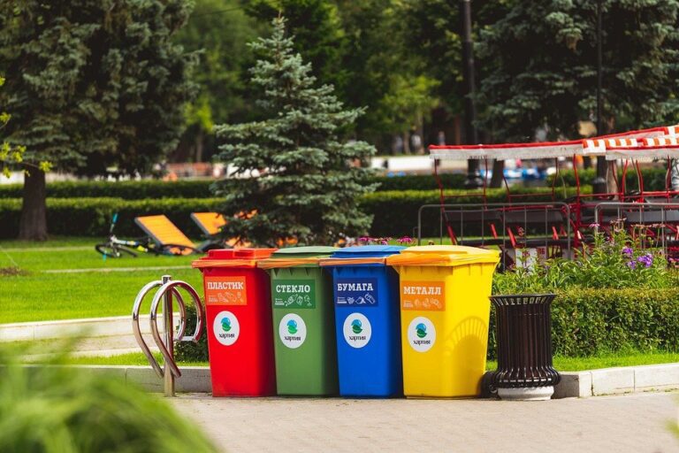 Por qué es importante tirar la basura en su lugar y cómo hacerlo 26 un contenedor de basura en un parque