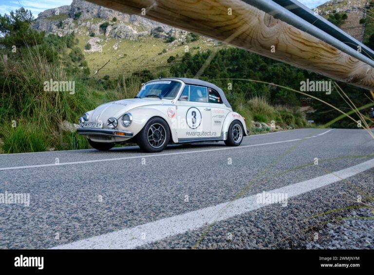 volkswagen escarabajo clasico en carretera