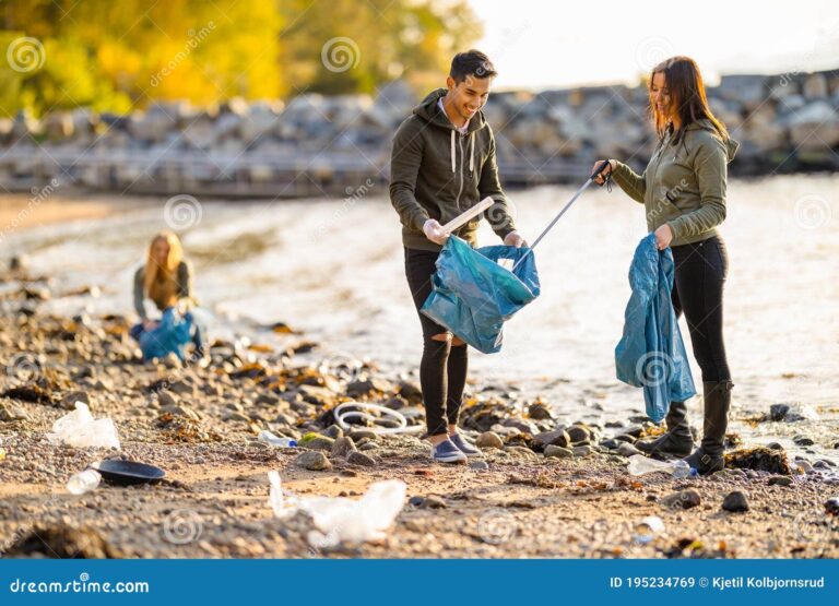 voluntarios limpiando una playa soleada